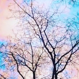 Please stop sending hate!